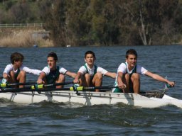 Naro 2012